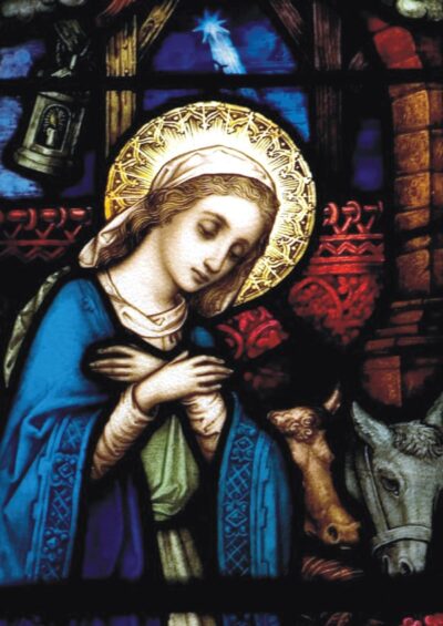 Mary in a blue robe, with a golden halo, gazes down, surrounded by animals in a Nativity Scene Christmas Card design